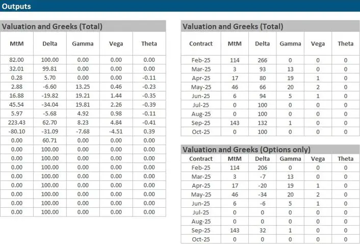 Option Valuation and Greeks Analysis. Option valuation spreadsheet showing monthly Mark-to-Market, Delta, Gamma, Vega and Theta values.