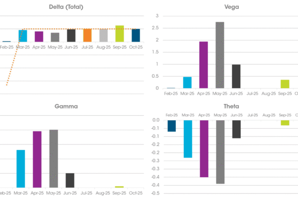 Hedged Delta Exposure by Month. Monthly Greeks dashboard showing hedged Delta, Vega, Gamma and Theta exposures from February to October.