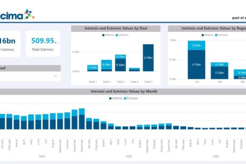 Intrinsic and Extrinsic Value Dashboard. Executive dashboard comparing intrinsic and extrinsic value by deal, region and month with interactive portfolio analysis.